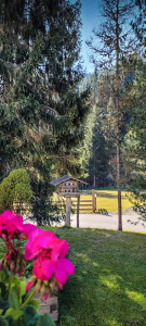 Walchauhof - Urlaub auf dem Bauernhof