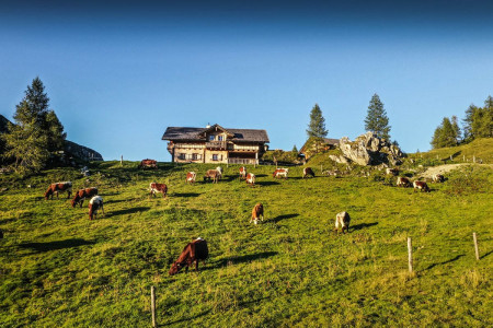 Wander- & Sommerurlaub - Walchauhof in Flachau