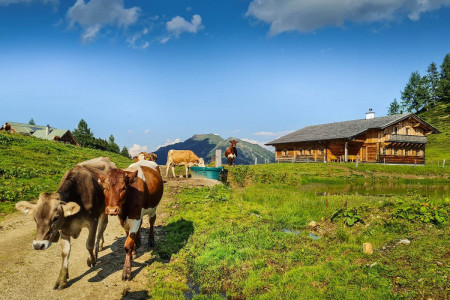 Wander- & Sommerurlaub - Walchauhof in Flachau