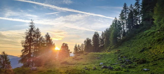 Wander- & Sommerurlaub - Walchauhof in Flachau