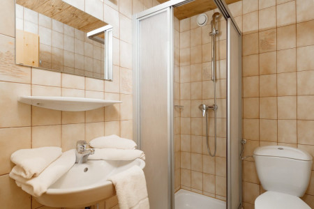 Zimmer mit Frühstück oder Halbpension in Flachauwinkl - Walchauhof